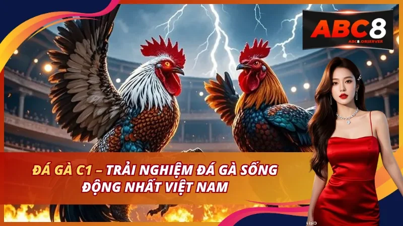 Đá Gà C1