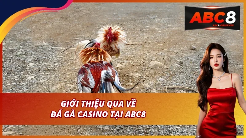 Khái quát về hình thức cá cược