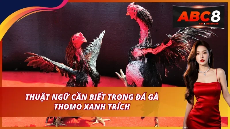 Xanh trích và ý nghĩa trong thi đấu